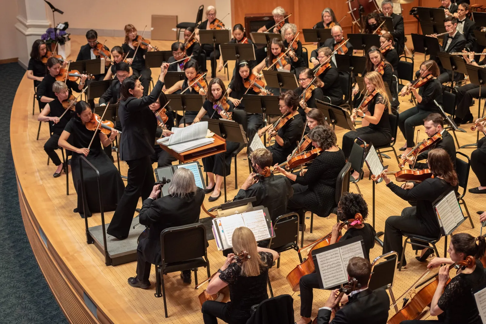 The Durham Medical Orchestra string section in performance